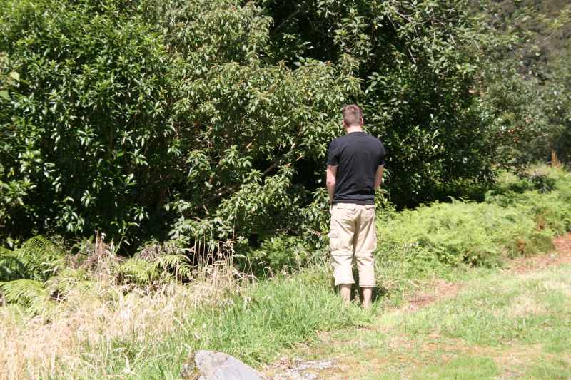 Nieuw-Zeeland 2011 - 1553